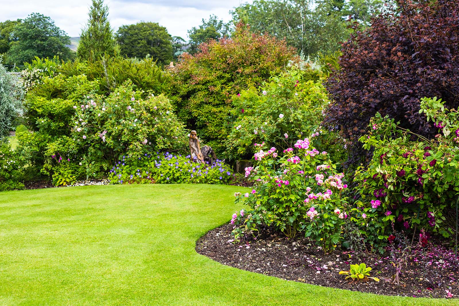 How to Make Your Lawn Thicker and Greener